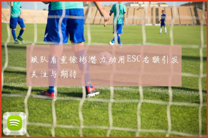 狼队看重徐彬潜力动用ESC名额引发关注与期待