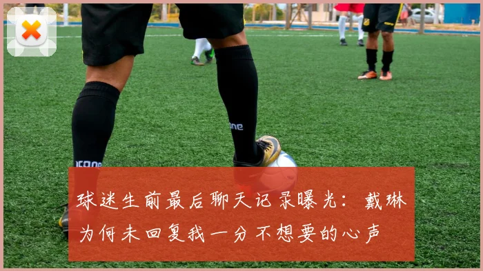 球迷生前最后聊天记录曝光：戴琳为何未回复我一分不想要的心声